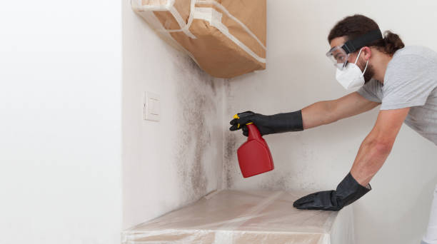 Professional Bathroom Mold Removal technician working in Indian Head, MD